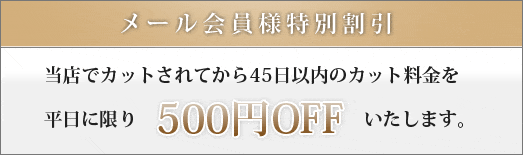 割引システムのご案内